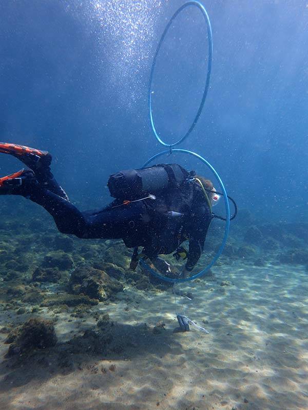Master Scuba Diver: PADI Peak Performance Buoyancy course with Manta Diving Lanzarote | Scuba diving in Lanzarote