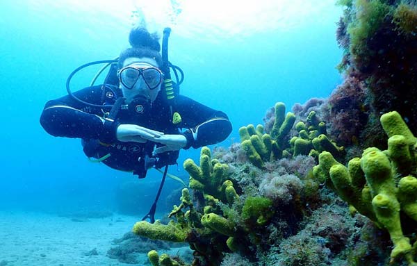 PADI Open Water Puerto Del Carmen | Learn to Dive Lanzarote