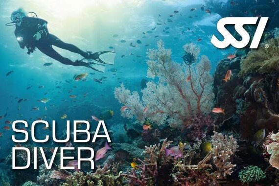Curso de buceo Scuba Diver SSI Lanzarote